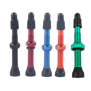 Aluminum Alloy Bicycle Vacuum Tyre Air Nozzle for Mountain Road Bike with French F/V Valve Stem for Tubeless Presta Valve