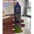Wholesale Disposable Vape Pen Bang Beach 22k Puffs