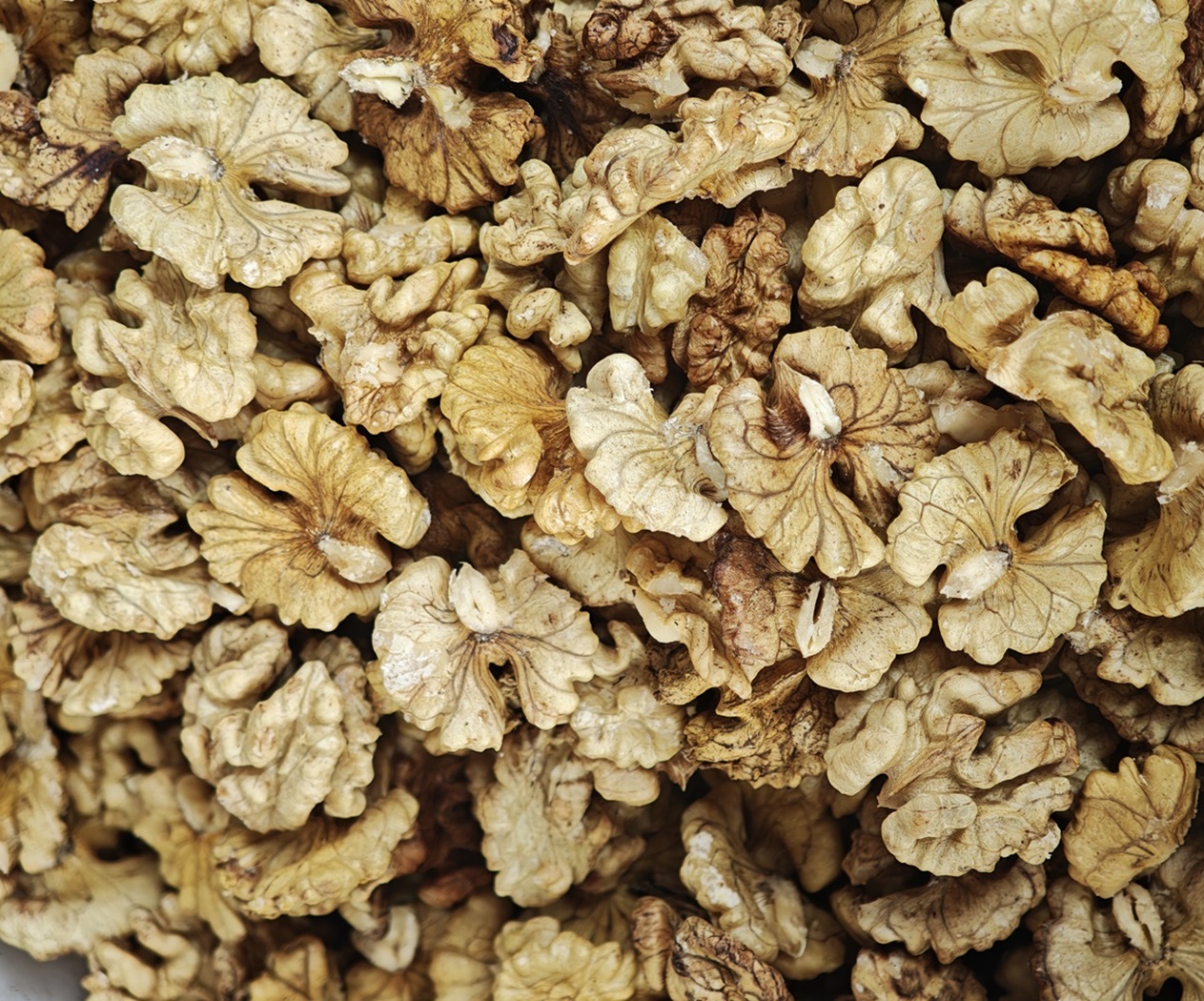 Walnut Kernels