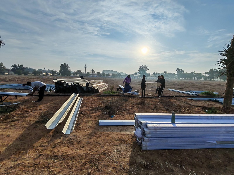 Five Trucks of Goods from Chongqing Qingcheng Agriculture Arrive in Qatar After More Than a Month-Long Journey; Customer Satisfied Upon Inspection