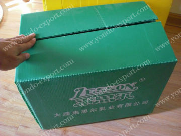 Polypropylene PP Fresh Fruit Packing Box