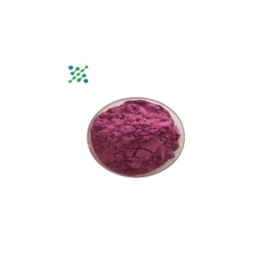 Strawberry Powder 99% for Food Applications