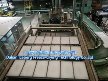 High Capacity Paraffin Production Line