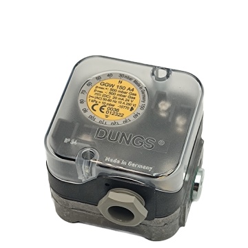 ATEX Certified Dungs IP 54 GGW150A4 Air High Burner Micro Gas Control Compressor Switch and Control System