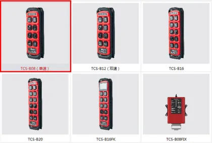 OHM Brand Double Wireless Radio Remote Control for Crane