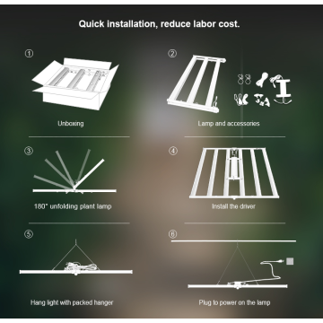 Alta Quanlity 600W LED Grow Light Bar Spyder