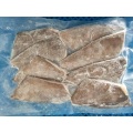 frozen smooth dory fillet