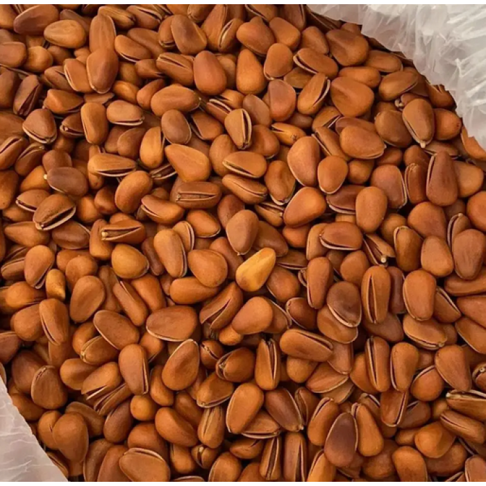 Deliciosa caixa de presente de pinhão