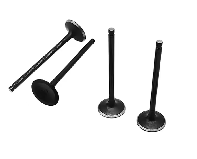 90295011 Intake Valve for Engine