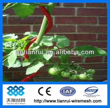 tomato stake
