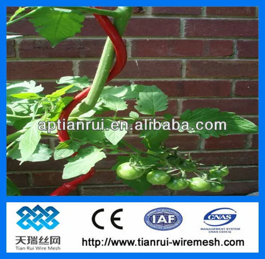 tomato stake