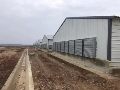 Broiler exhaust Fans(Poultry house fans)