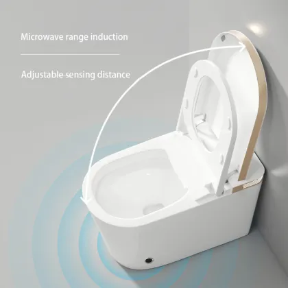 Elongated Gold Smart Toilet Intelligence
