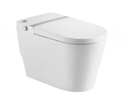 Electronic Smart Toilet With Heated Toilet Seat