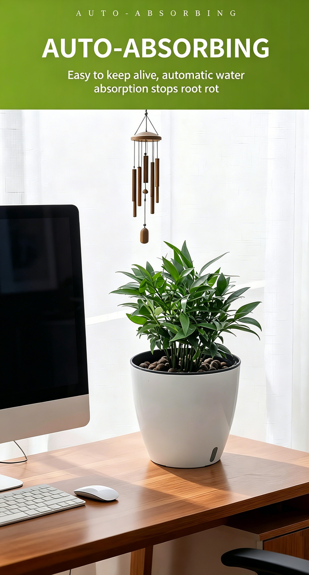 Visible Potted Plant 5