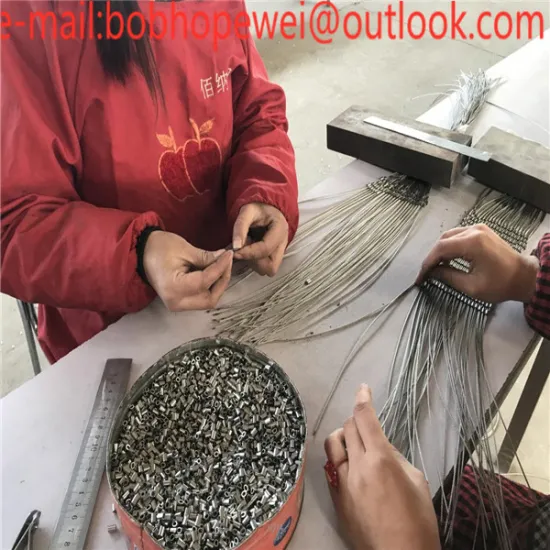 Zoo animal fence/stainless steel rope mesh/stainless steel cable netting