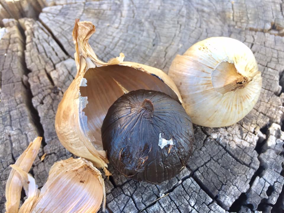 solo black garlic 