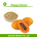 Polvo de papaína en polvo de papaya natural pura