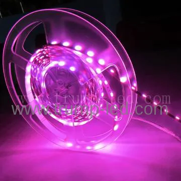 Wholesale RGB 14.4W/M ultraviolet led strip 5050