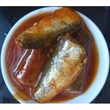 Sardinen in Dosen in Tomatensauce