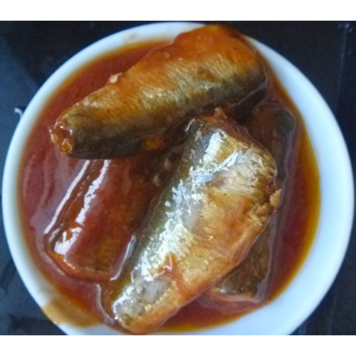 Sardinen in Dosen in Tomatensauce