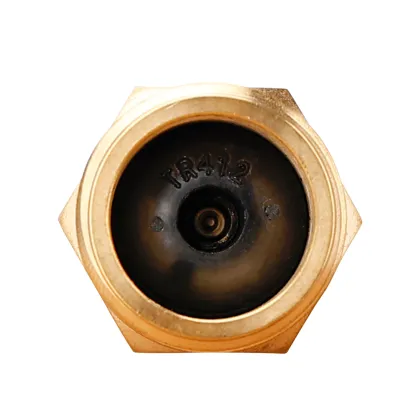 Brass Blowout Adapter for RV Antifreeze Systems