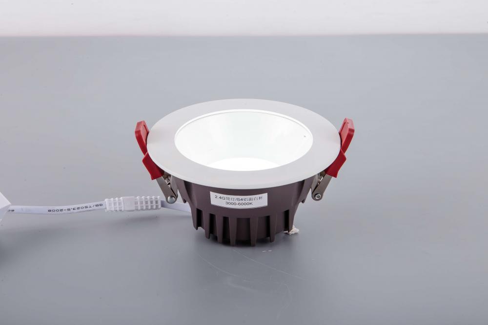 20W 2.4G Remote Control LED Down Light Aluminum