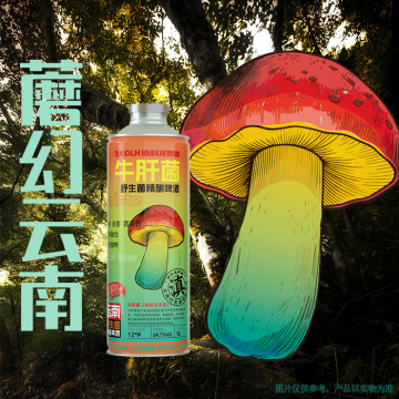 D.KOLN Yunnan Bovine Mushroom Craft Beer