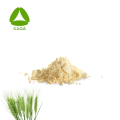 Food-Grade Fermented Wheat Germ Extract Powder 1% Spermidine