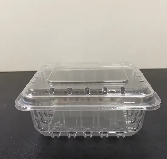 Plastic Blueberry Fruit Clamshell Packaging Box