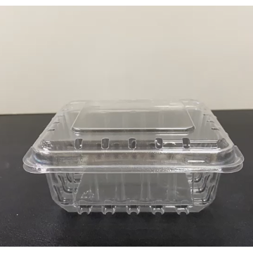 Plastic Blueberry Fruit Clamshell Packaging Box