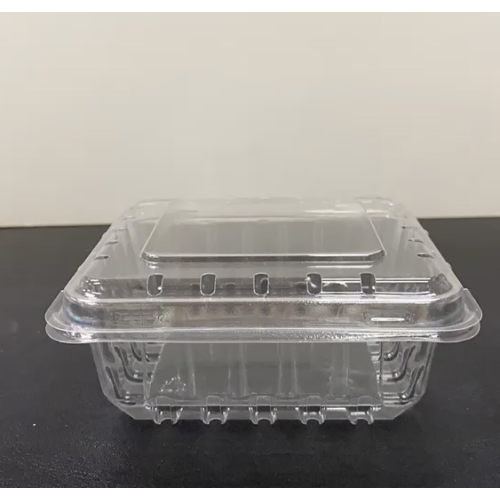 Plastic Blueberry Fruit Clamshell Packaging Box