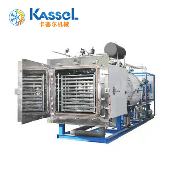 Drying Equipment Food Fruit Lyophilizer Vacuum Freeze Dryer