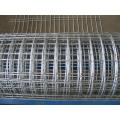 Coated PVC soldado Wire Mesh