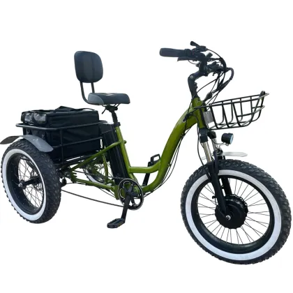 500W Electric Tricycle - OEM Aluminum Frame Fat Tire Pedicab for Family Use