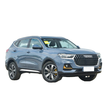 Affordable New Energy Great Wall Haval H6 5-Seat Compact SUV with Plug-In Hybrid/Gasoline Option and Left-Hand Steering in China