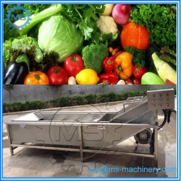 500kg and 1000kg air bubble commercial vegetable washer with ozone