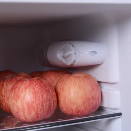 Household Refrigerator Search