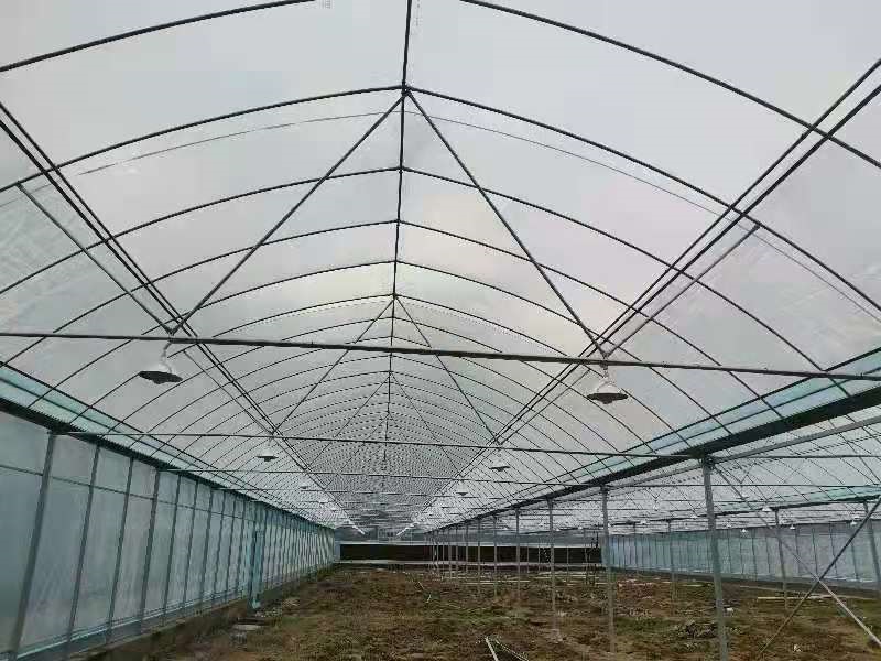 Empowering the Development of Modern Smart Agriculture: Qingcheng Agriculture’s Zhongxian Multi-Span Greenhouse Project Successfully Completed and Delivered