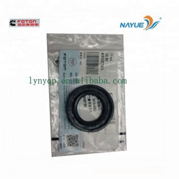 Crankshaft Rear Oil Seal for FOTON 4938765