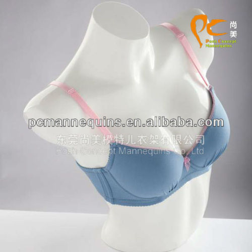 Transparent Plastic Bust Form Mannequin