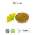 Ginkgo Biloba Extract 24% 6%