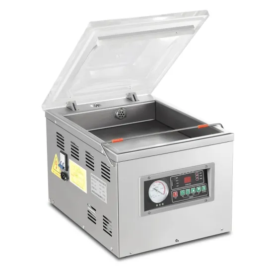 Wanhe DZ-300 Table Top Automatic Commercial Vacuum Packing Machine