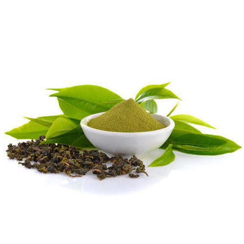 Green Tea Extract with 98 Polyphenols