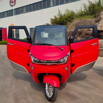 EEC Certified Senior Mobility Scooter with Lithium Battery and Cabin for Sale