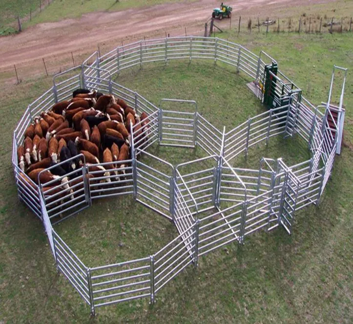 Galvanized Cattle Metal Fence Panel/ Heavy Duty Livestock Cattle Panel