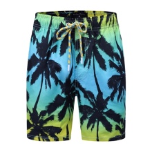 New Design Blank And Colorful Available Short Pants