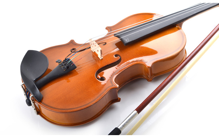 R 30 Violin Instrument