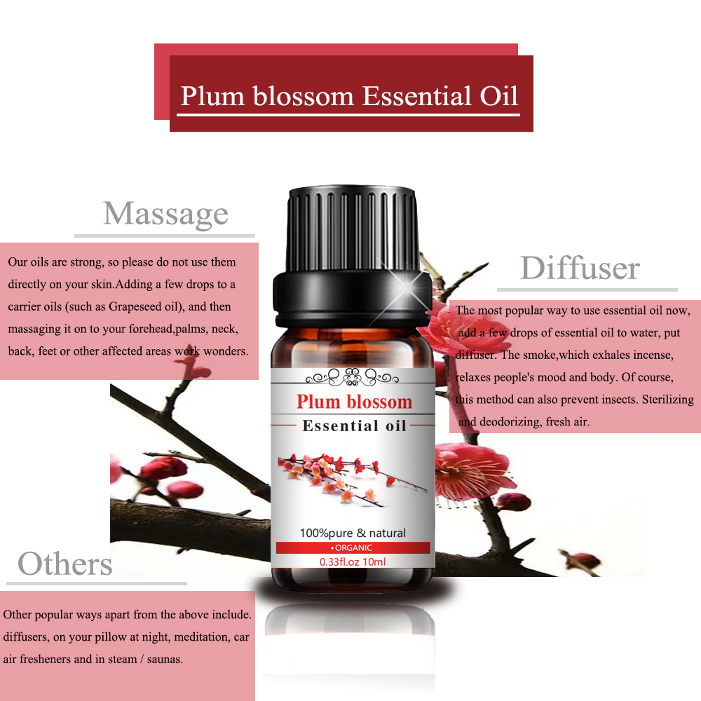 10ml Body massage oil plum blossom essential oil for Skin Body Care