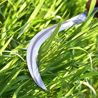 Garden Cutting Tools with Sickle